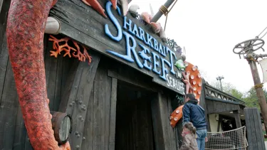 Pirate Sharkbaitreef