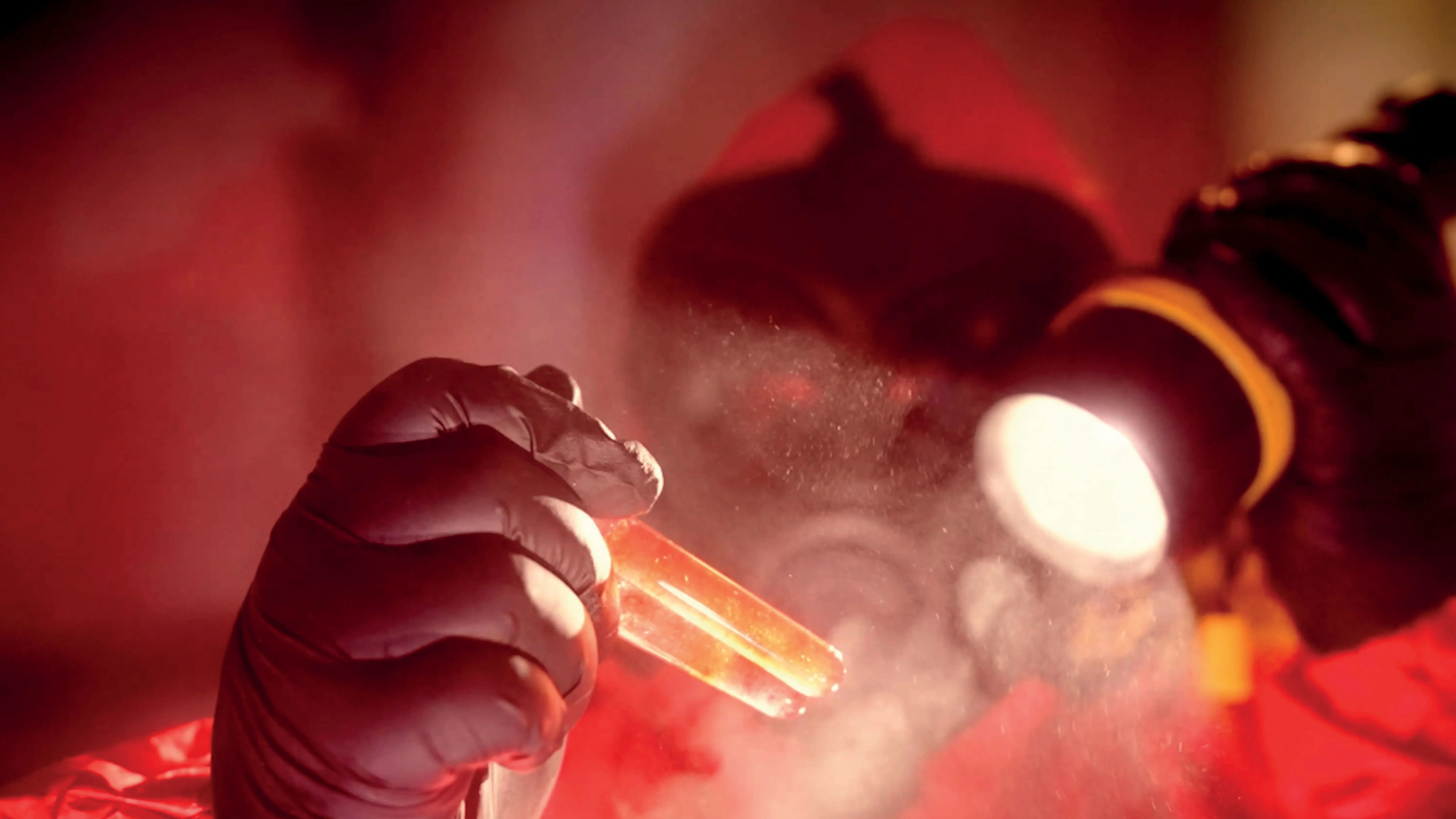 Nemesis Image Hoarding 01