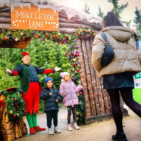 Mistletoe Lane