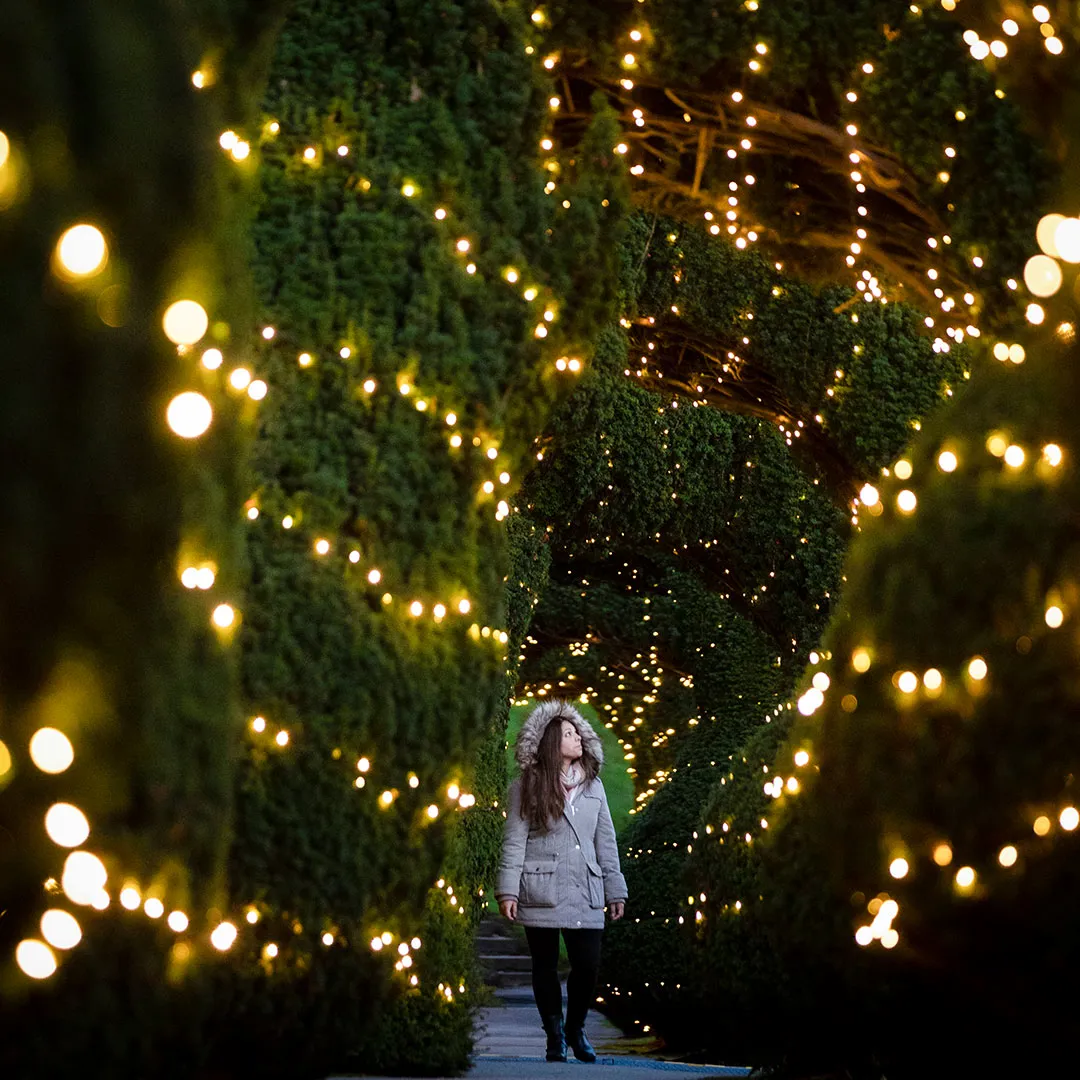 Christmas 2022 Alton Towers Family Christmas Breaks Uk | Alton Towers Resort