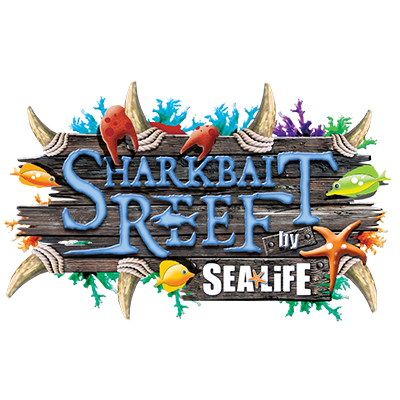 Shark bait reef logo