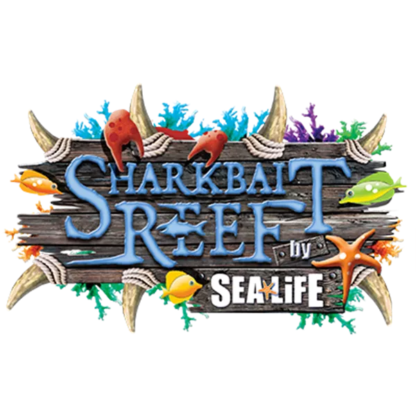 Shark bait reef logo