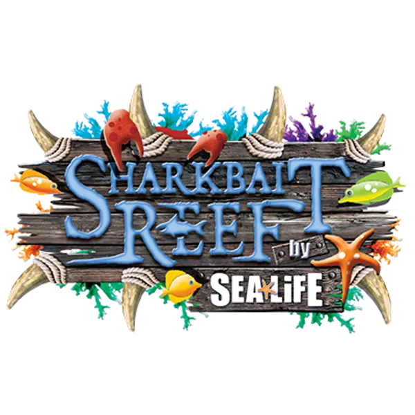 Shark bait reef logo