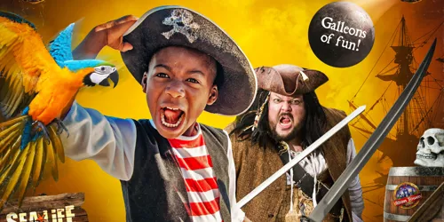 February Half Term Pirate Takeover