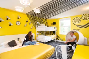 The smiler room Wide